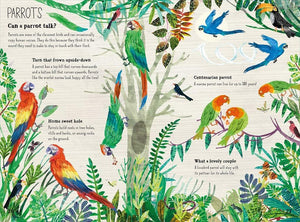 Big Book of Birds Phoniex 