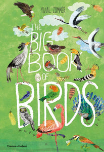 Big Book of Birds Phoniex 