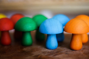 Coloured Mushrooms QToys 