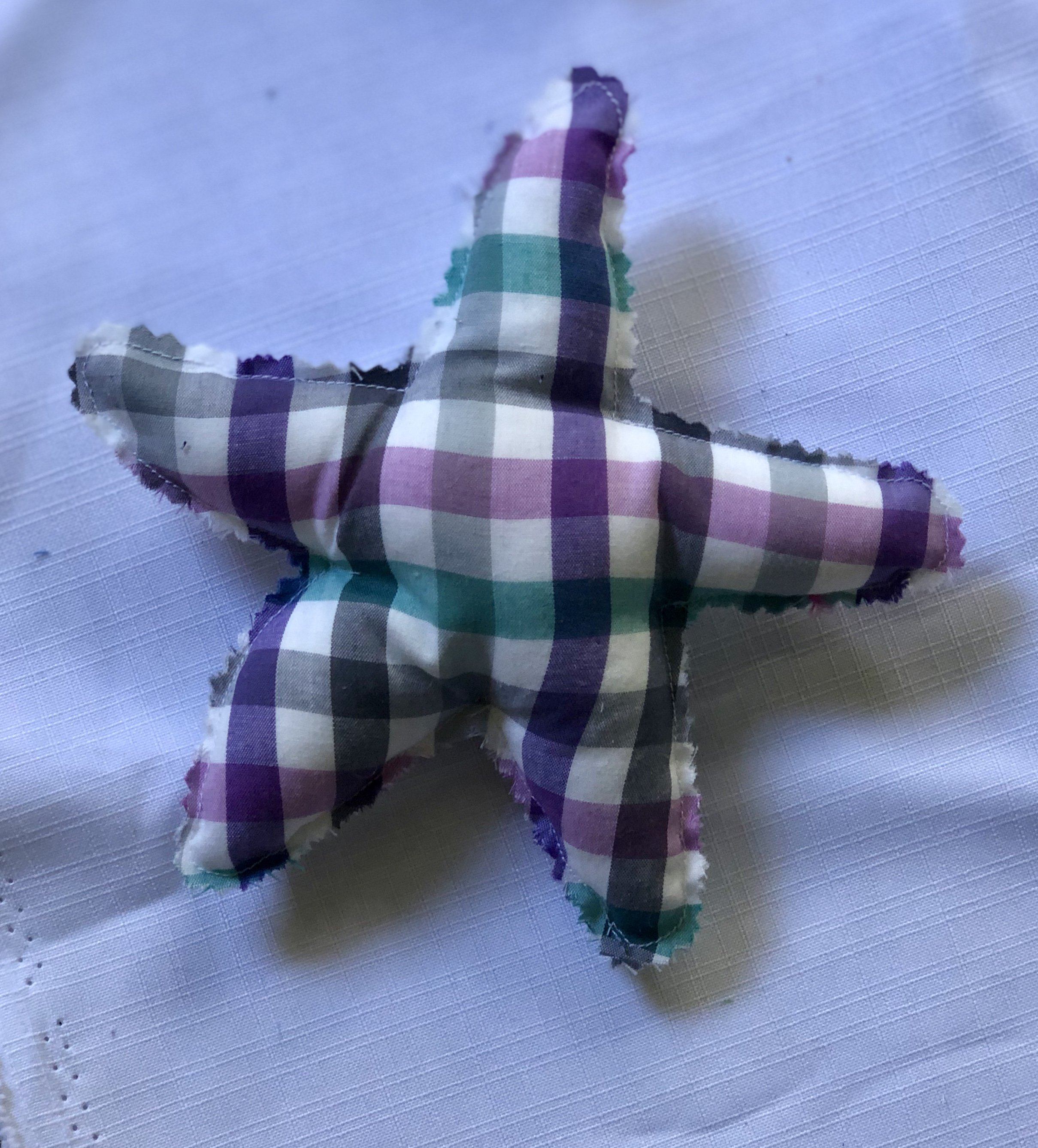 Colourful Sea Stars Inspired Childhood Check 
