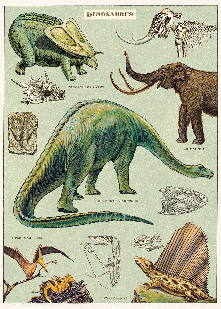 Dinosaur Poster - Vintage Style Bobangles 