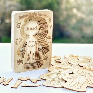 Human Body Systems - A 'sliced' Wooden Human Layered Puzzle Plyful 