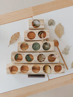 Load image into Gallery viewer, Log Counting and Sorting Trays set of 5 (Arriving early Feb) QToys 
