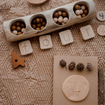 Load image into Gallery viewer, Log Counting and Sorting Trays set of 5 (Arriving early Feb) QToys 
