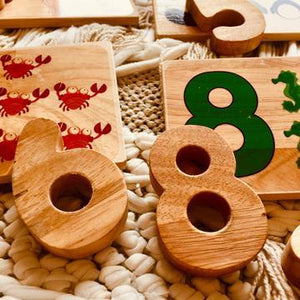 Sea Life Number Matching Game QToys 