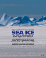 Load image into Gallery viewer, The Big Book of Antarctica (Arriving End of Jan) Beaglier Books 

