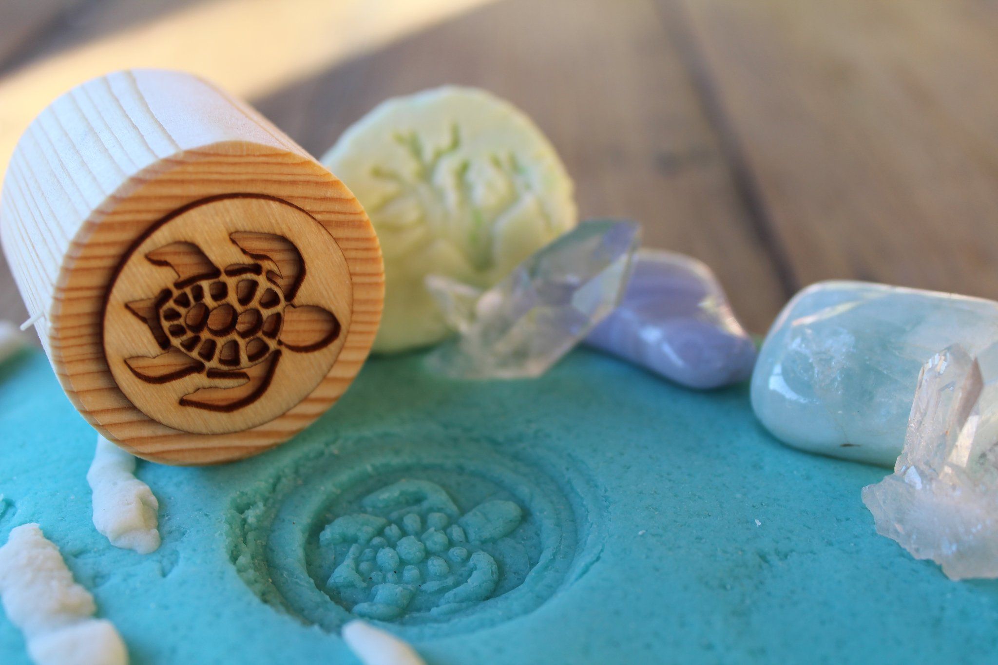 Turtle Lifecycle Playdough Stamps Beadie Bugs 