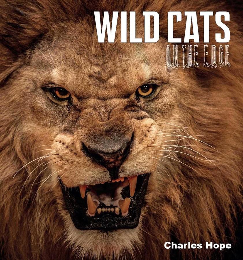 Wild Cats on the Edge (Arriving End of Jan) Beaglier Books 