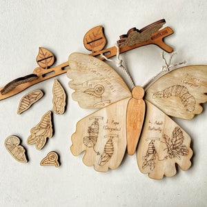 Wooden Butterfly and Metamorphosis (life cycle) Set Plyful 